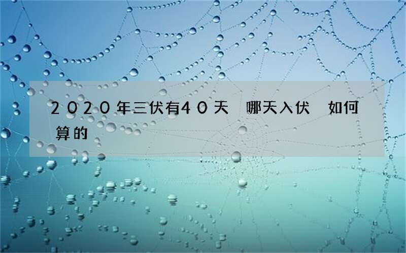 2020年三伏有40天 哪天入伏 如何算的